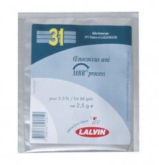 Lalvin Dry Malolactic Bacteria - 31 (2.5g) - Brew My Beers